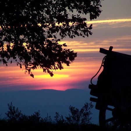 Agriturismo Le Vigne Foligno Dış mekan fotoğraf